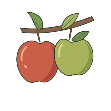 Two differently shaped red and green apples hanging from a woody branch with pointed green leaves.