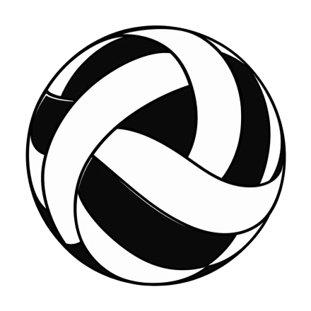 A circular volleyball uses sweeping black panels and crisp white gaps to create a bold geometric pattern.