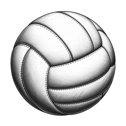 A black-and-white volleyball has fine engraved shading and closely drawn stitch marks along its curved seams.